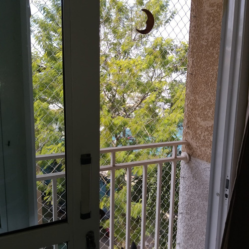 Imagem 7 de 14 de Apartamento À Venda No Jaraguá Na Rua Miguel Petrilli- 11765