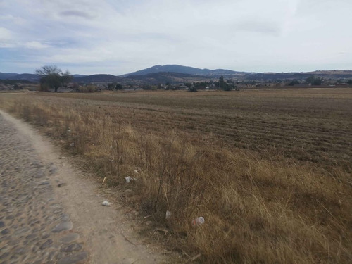 Imagen 4 de 5 de Terreno 18,840 M2 En Santiago Mexquititlan