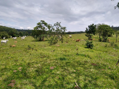 Imagem 5 de 12 de Magnifica Área 968.000m² Topografia Ótima Para Loteamento Ou Condominio Itupeva