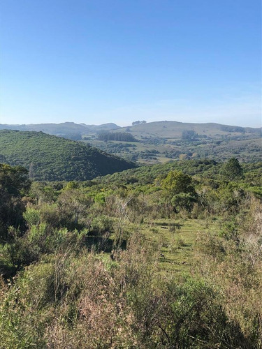 Venta Chacra Sierra Minas Ruta 60 Pan De Azucar Minas