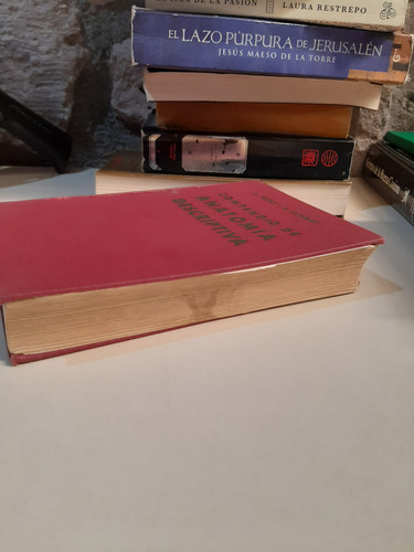 Compendio De Anatomía Descriptiva - L. Testut / A. Latarjet (Usado)