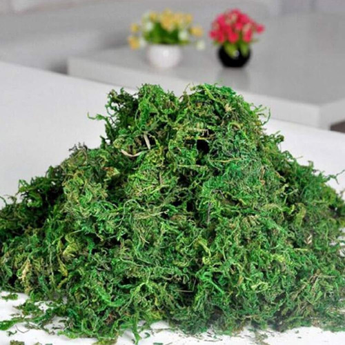 Garneck 20g Artificial Moss Lichen, 1 Bolsa Musgo Preservado