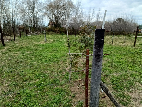 Lote Terreno En Venta Mar Del Tuyu Partido De La Costa