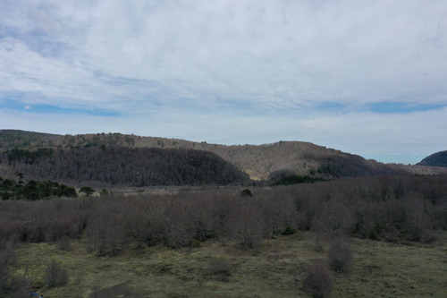 Terreno De Excelente Plusvalía - A 2,3 Km De Malalcahuello