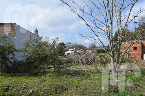 Imagen 5 de 10 de Venta Terreno - Los Hornos