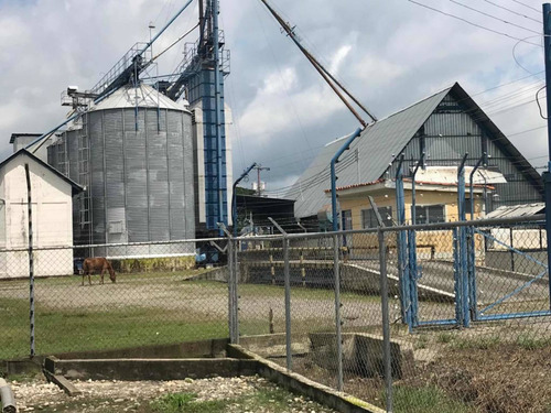 Imagen 10 de 27 de En Venta Finca De 118 Hectáreas , Y Granja Porcina , De 3.5