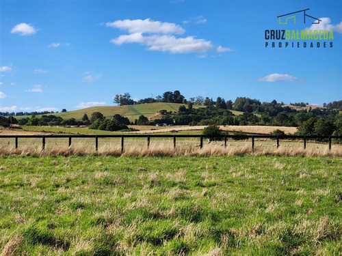 Parcela En Venta En Llanquihue