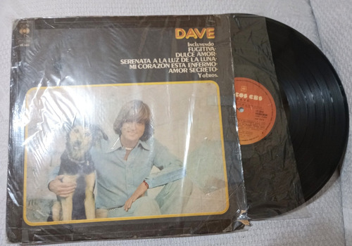 Dave (l.p) Disco Incluye Las Canciones : Dulce Amor/fugitiva