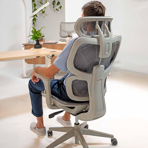 Cadeira Ergonômica Elements Siggy Cinza