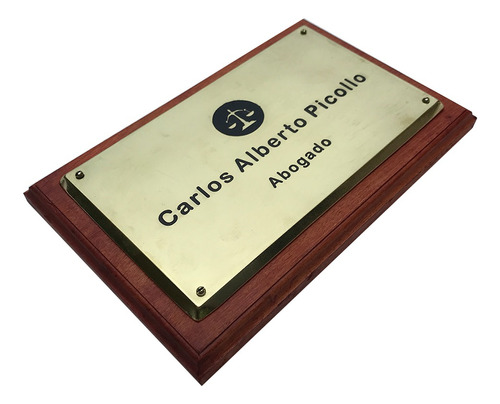 Placa Bronce Profesional, Doctor, Abogado, Contador 25x15 Cm