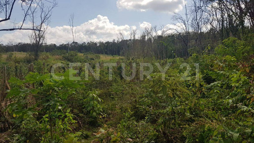 Terreno En Tekax 120 Hectáreas Propiedad Privada. Tekax Yucatán.