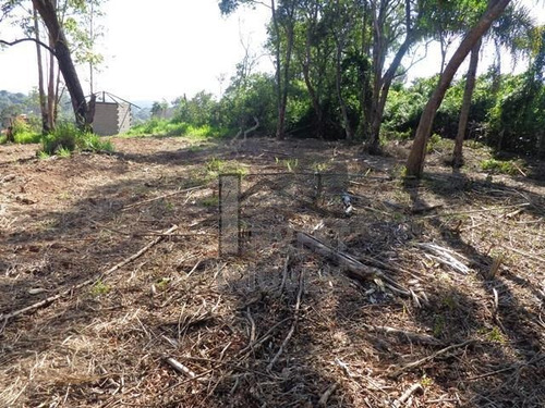 Imagem 3 de 6 de Cód 1716 - Lindo Terreno Com 1.560 M². - 1716