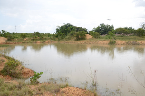Imagen 2 de 28 de Se Vende Linda Finca En Oritupano