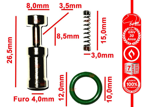 Imagem 2 de 6 de Jogo 4 Kit Reparo De Bicos Injetores Gnv Modelo Valtek Stag