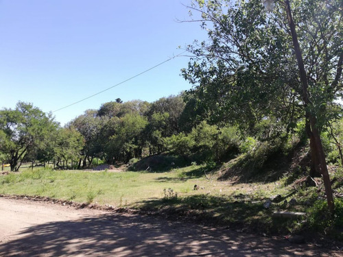Imagen 2 de 13 de Colon 200