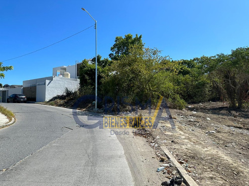 Terreno En Venta En Colonia Las Palmas