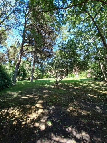 Imagen 2 de 6 de Lote Terreno Venta Pinamar Zona Iglesia Foca 705 M2