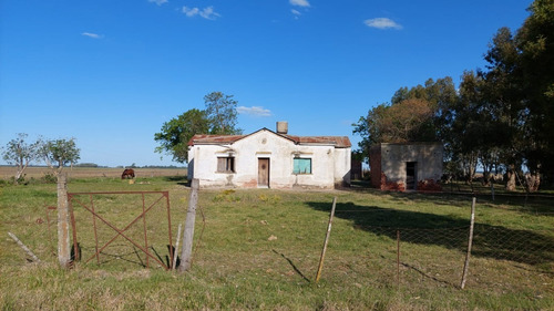 Imagen 9 de 13 de Campo Mixto De 94 Ha En Saladillo