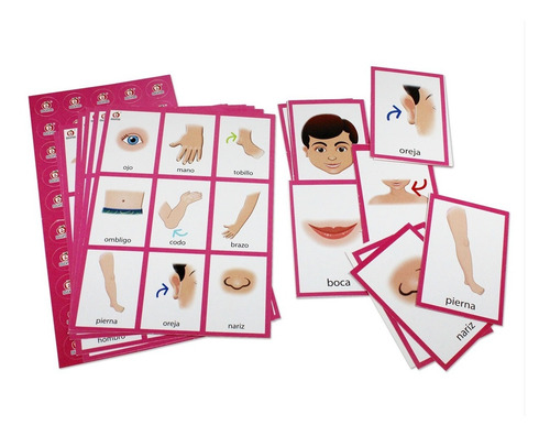 Lotería Arcoíris Partes Del Cuerpo Humano, Educatodo, M-0323