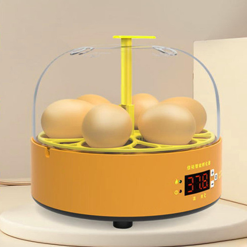 Mini Chocadeira De Ovos Com Giro Automático