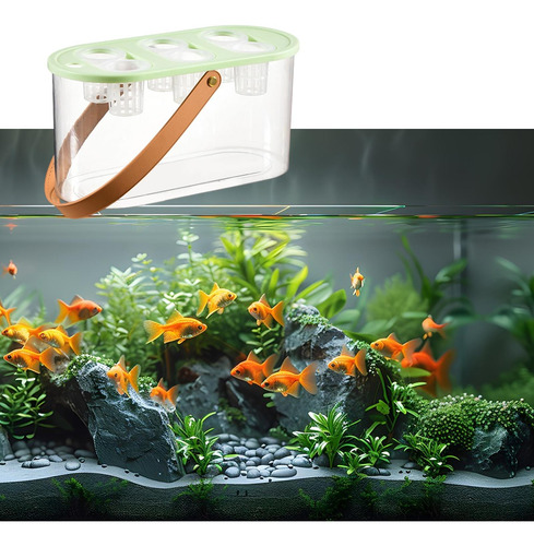 Caja De Cultivo Hidropónico, Herramienta Hidropónica Verde