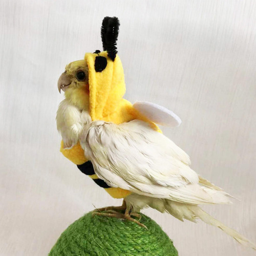 Ropa De Pájaros Disfraz De Loro Y Abeja Para Mascotas Ropa D