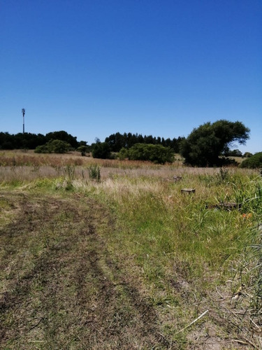 Venta Campo 5 Hectáreas Sierra De Los Padres