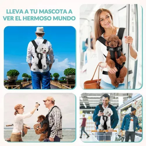 Mochila Portadora Para Perros Pequeños Y Medianos