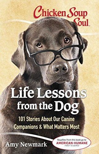 Chicken Soup For The Soul Life Lessons From The Dog 101 Stor