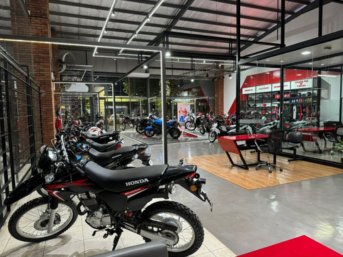 Honda Navi 0km - Paperino