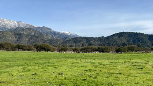 Venta De Terrenos En Pintué Aculeo