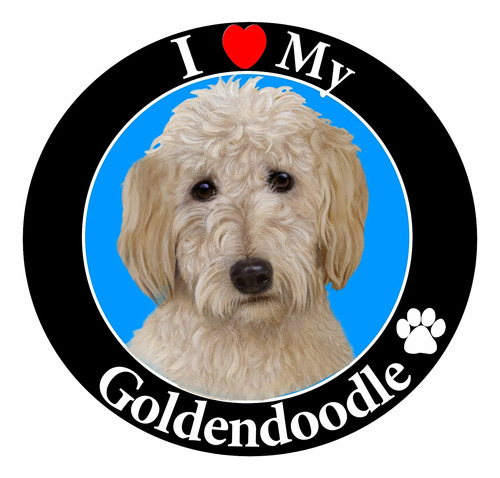 Coche  I Love My Goldendoodle Iman Con Realista Buscando Go