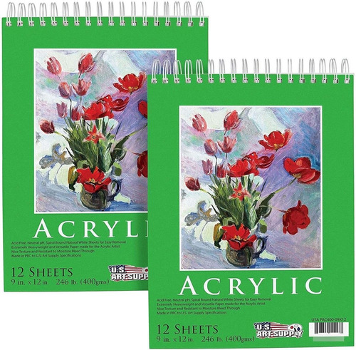 U.s. Art Supply 9  X 12  Premium Extra   pintura Acrilica