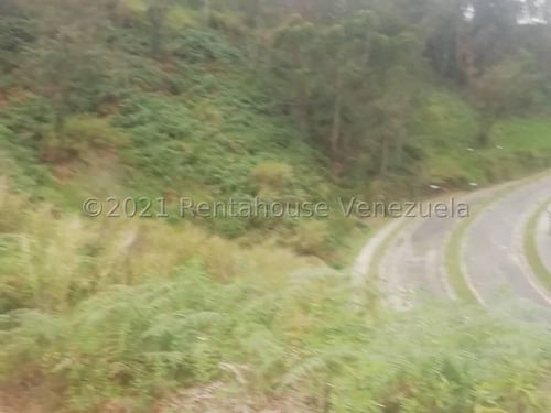 Imagen 3 de 14 de Ss: Vende Lote De Terreno 22-5448 En Las Minas San Antonio