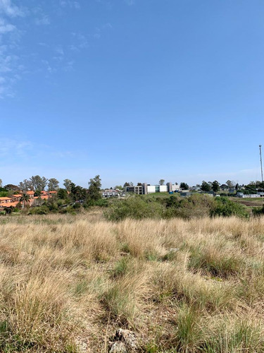 En Venta Chacra En Salto. Ruta 3 ¡atención Inversores Y Empresarios!
