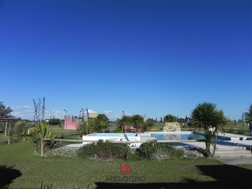 Terreno En Mendoza