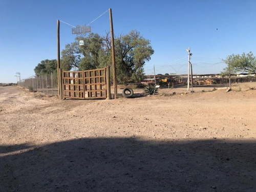 Imagen 2 de 8 de Terreno En Venta En Ejido Albia