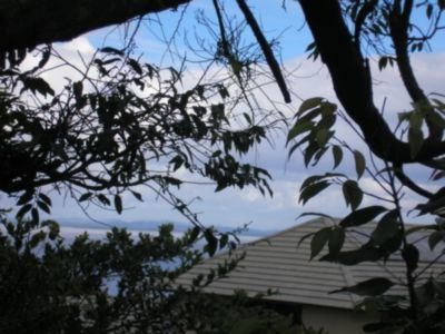 Casa Em Ipanema Com 3 Dormitórios - Lu15141