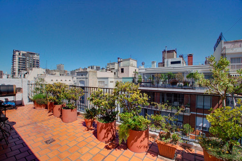 Imagen 1 de 14 de Departamento 3 Ambientes Con Terraza Y Cochera - Recoleta