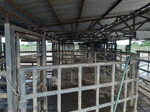 Imagen 11 de 19 de Finca Totalmente Equipada En Cojedes