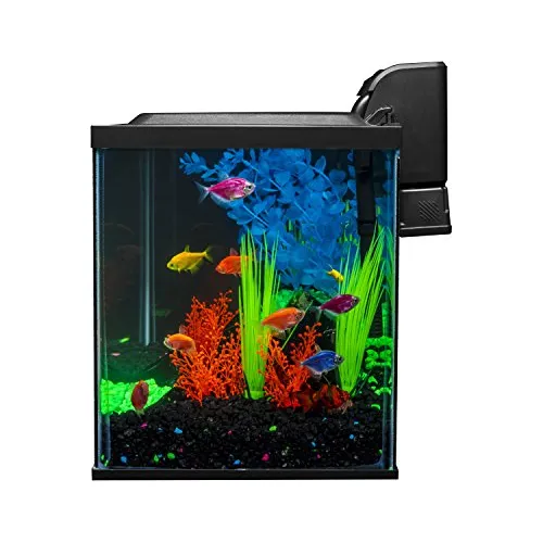 Glofish kit 2025