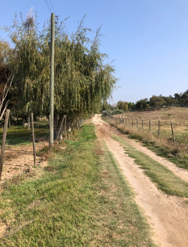 Venta Parcela 1 Hect.con Casa Codigua Melipilla $110.000.000