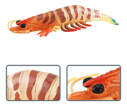 Colección De Modelos De Juguetes Educativos De Ciencia