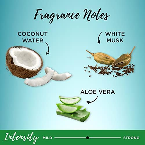 Shampoo De Água De Coco Refrescante Garnier Whole Blends E 1