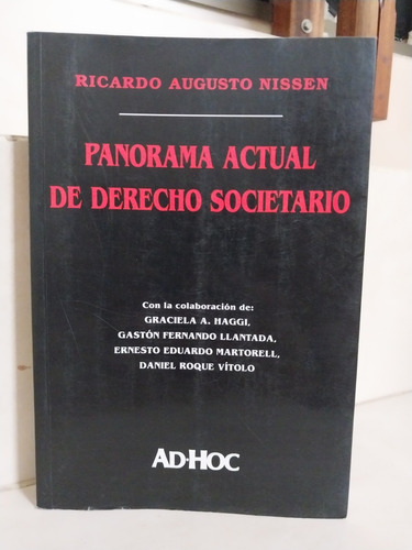 Panorama Actual De Derecho Societario. Ricardo A. Nissen