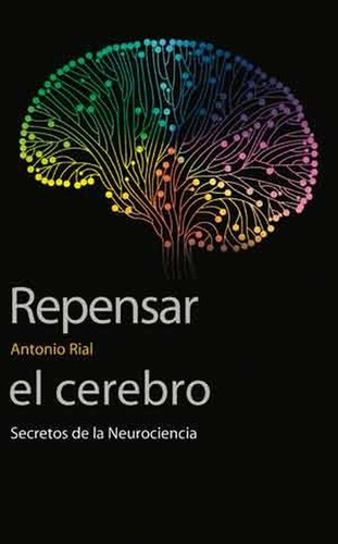 Repensar El Cerebro Secretos De La Neurociencia