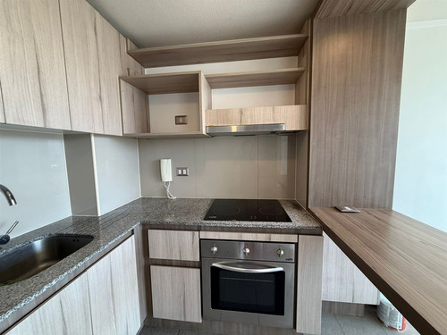 Depto 1 Dorm Y Bodega 30m2 Vista Norte Av Matta Con Carmen