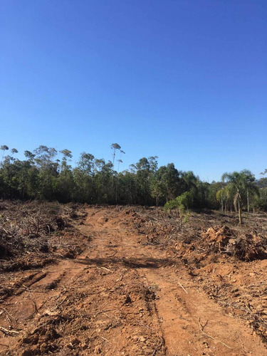 Imagem 11 de 14 de A01- 1500m2 De Terreno Plaino Em Ibiuna!