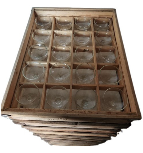 20 Copas Sidra O Champagne Pie Bajo C/cajon Madera Apilable