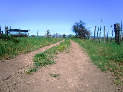 Propiedad Agrícola De Riego Con Derechos De Aguas Río Ñuble